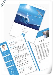 海阔天空范简历模板